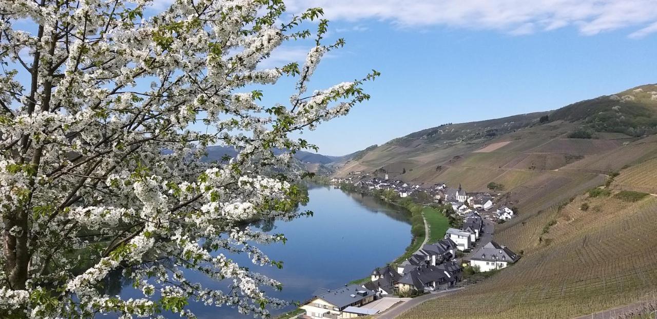 Mosel-Appartements Nehren Zell an der Mosel Zewnętrze zdjęcie