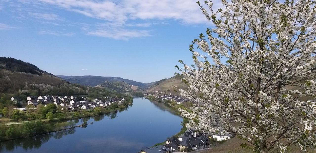 Mosel-Appartements Nehren Zell an der Mosel Zewnętrze zdjęcie