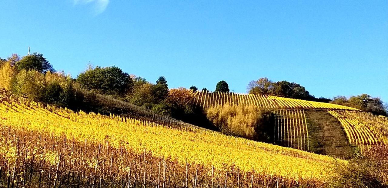 Mosel-Appartements Nehren Zell an der Mosel Zewnętrze zdjęcie